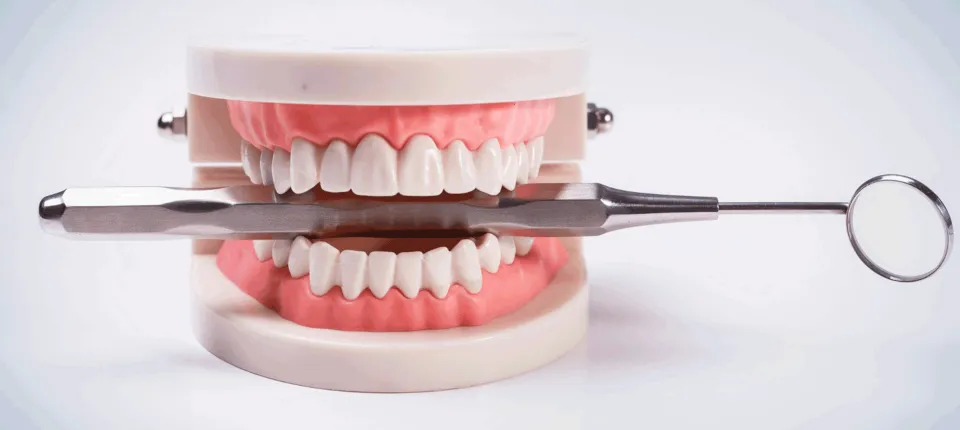 Dental plastic teeth